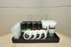 Hotel Amenities