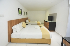 Execuitve Suite Second Room