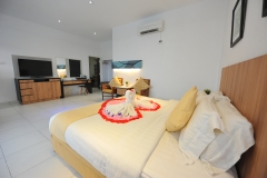 Executive Suite Full View